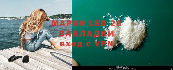 apvp Кукмор