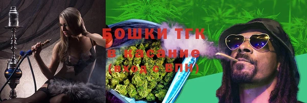 шишки Краснотурьинск